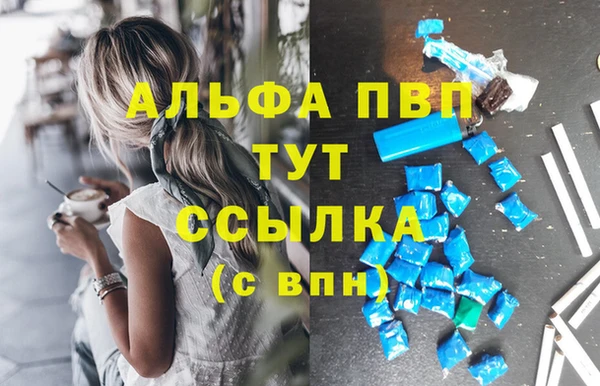 стаф Пересвет