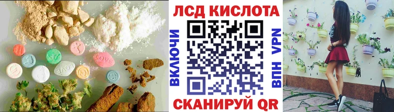 Купить где  Куртамыш  LSD-25 экстази ecstasy 