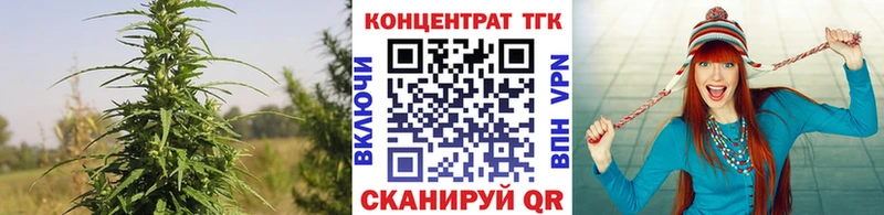 Купить где  Куртамыш  Дистиллят ТГК гашишное масло 
