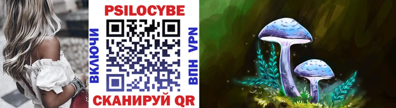 Купить где  Куртамыш  Псилоцибиновые грибы GOLDEN TEACHER 